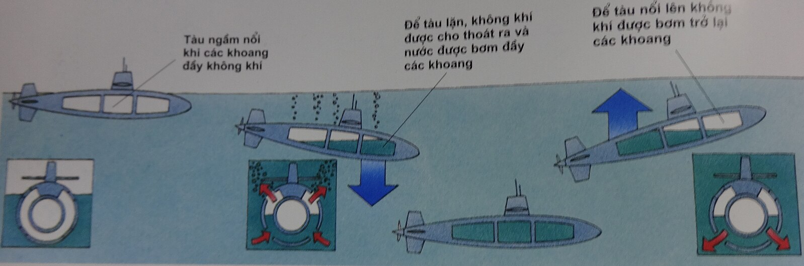 Nguyên lý Archimedes được sử dụng để làm gì? 1 So Do Nguyen Ly Lam Viec Ket Dan Tau Ngam