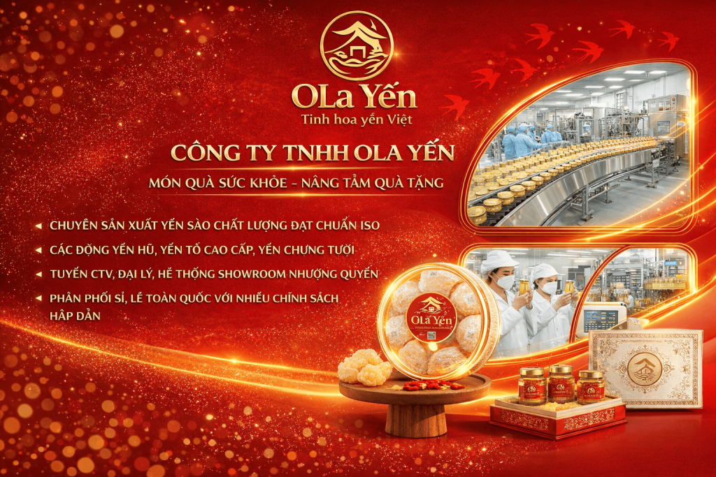 Mua yến sào chính hãng tại Hải Phòng ở đâu uy tín? Cong Ty Tnhh Ola Yen 1